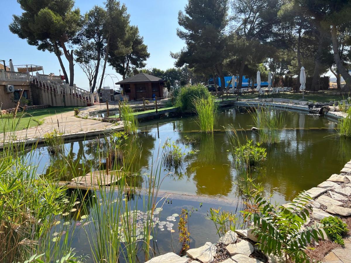 Hotel El Cisne Saragozza Esterno foto