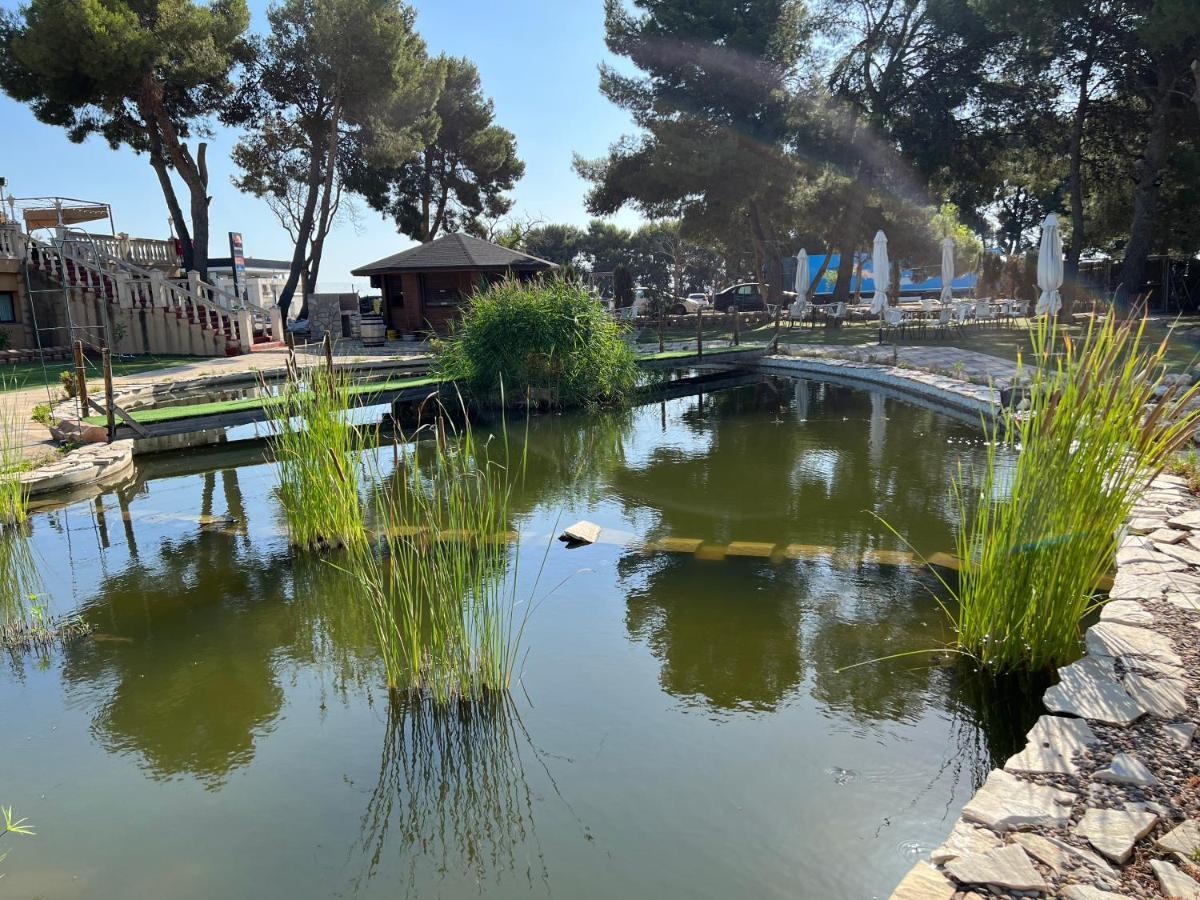 Hotel El Cisne Saragozza Esterno foto